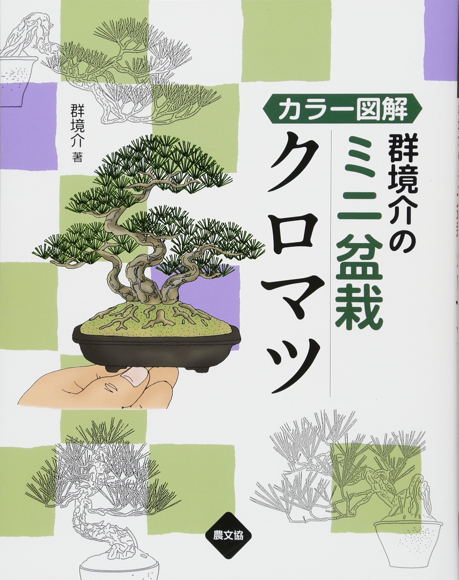 カラー図解 群境介のミニ盆栽 クロマツ | 群境介 |本 | 通販 | Amazon