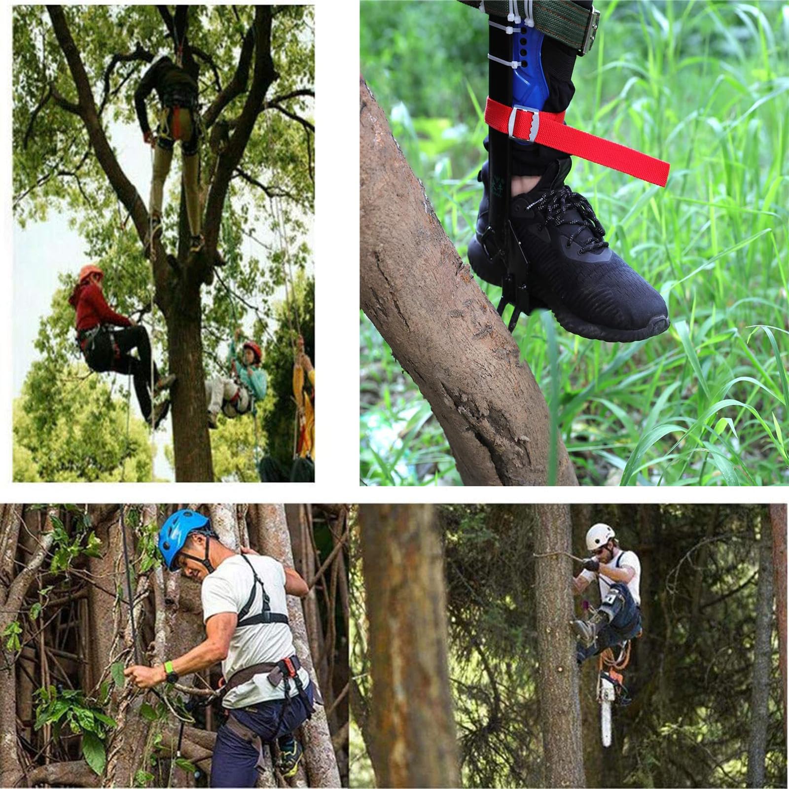 Amazon | ツリークライミングツール、木登り器 木登り道具 、滑り止め