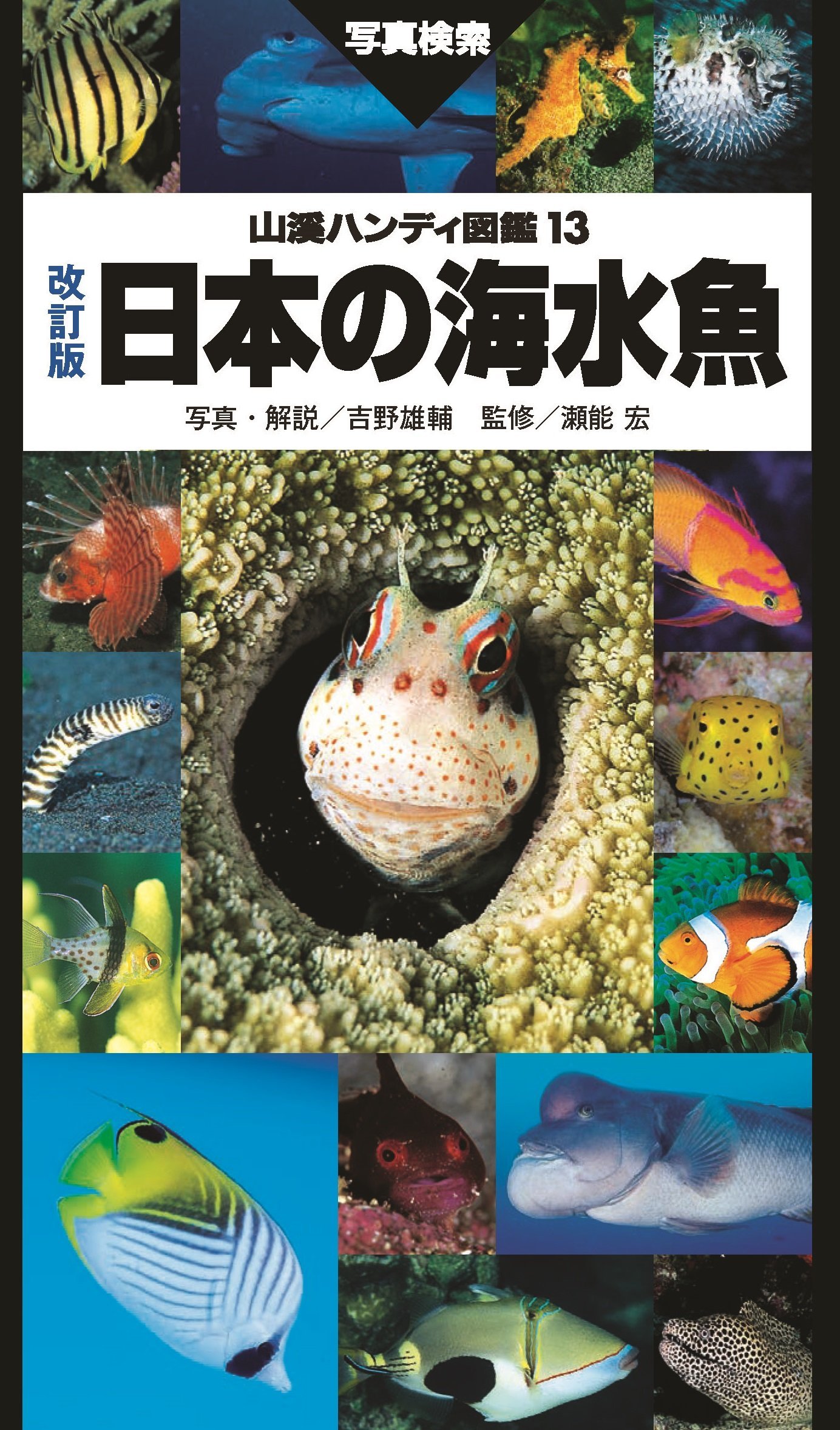山溪ハンディ図鑑 改訂版 日本の海水魚 | 吉野 雄輔 |本 | 通販 | Amazon