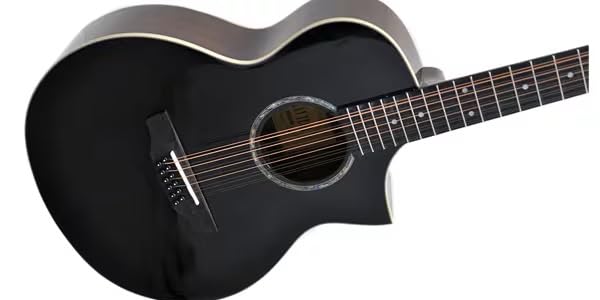 Amazon | PLAYTECH (プレイテック) 12弦アコースティックギター ミニ