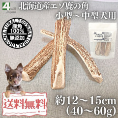北海道産エゾ鹿の角 中型～大型犬用 1本 | 犬用 用品,北海道産エゾ鹿の