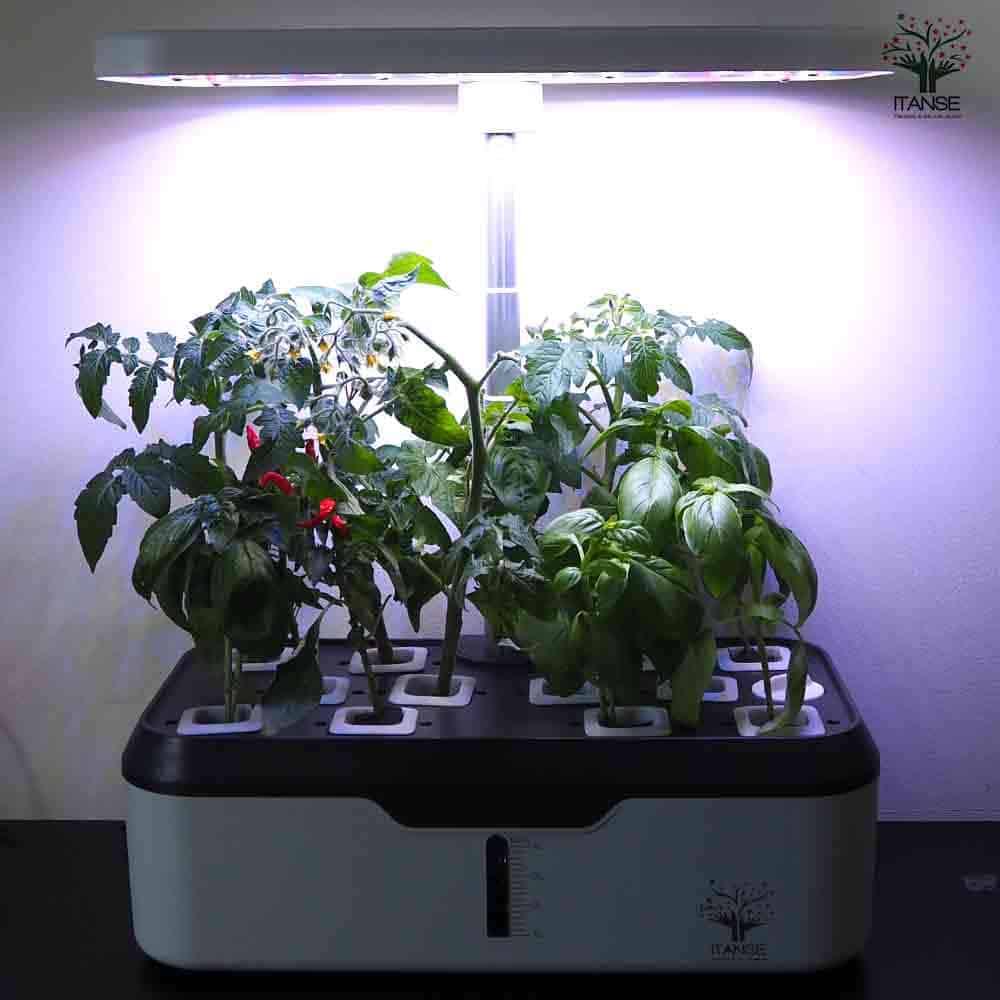 水耕栽培スマートプランター 育成LEDライト付【水耕栽培セット