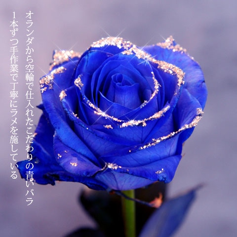 キラキラ青いバラ 100本の花束 | バラ・生花,キラキラ青いバラ,花束