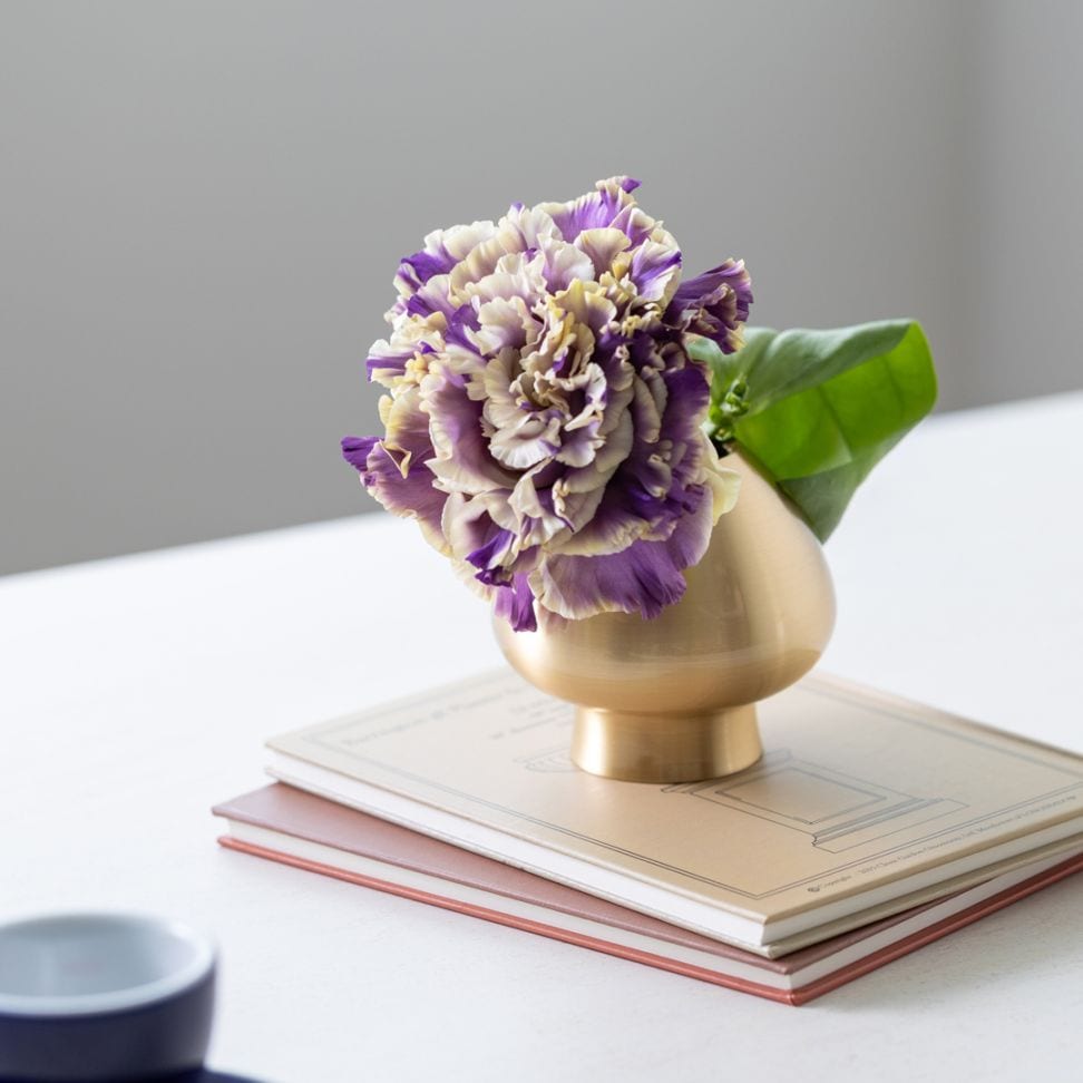 能作 花ごころギフト フラワーベースまゆSとKAGOローズSのセット 花