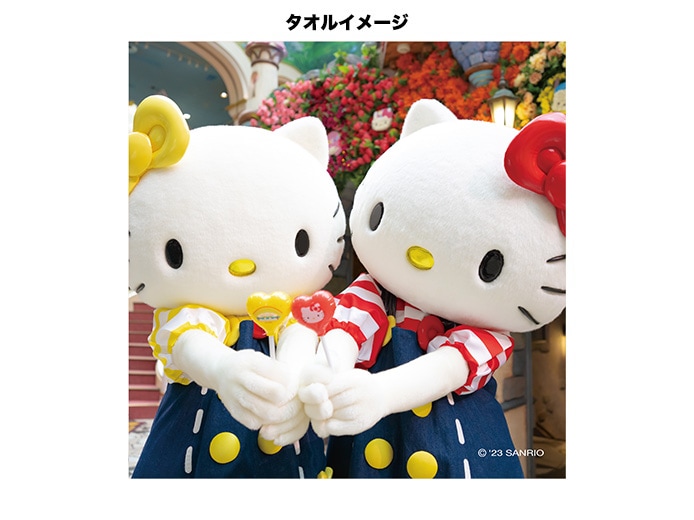 推しキャラ工房】キティ・ミミィ おそろい 【ハンドタオル・キャンバス