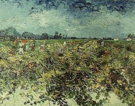 緑の葡萄畑 The green vineyard. 1888. | フィンセント・ファン