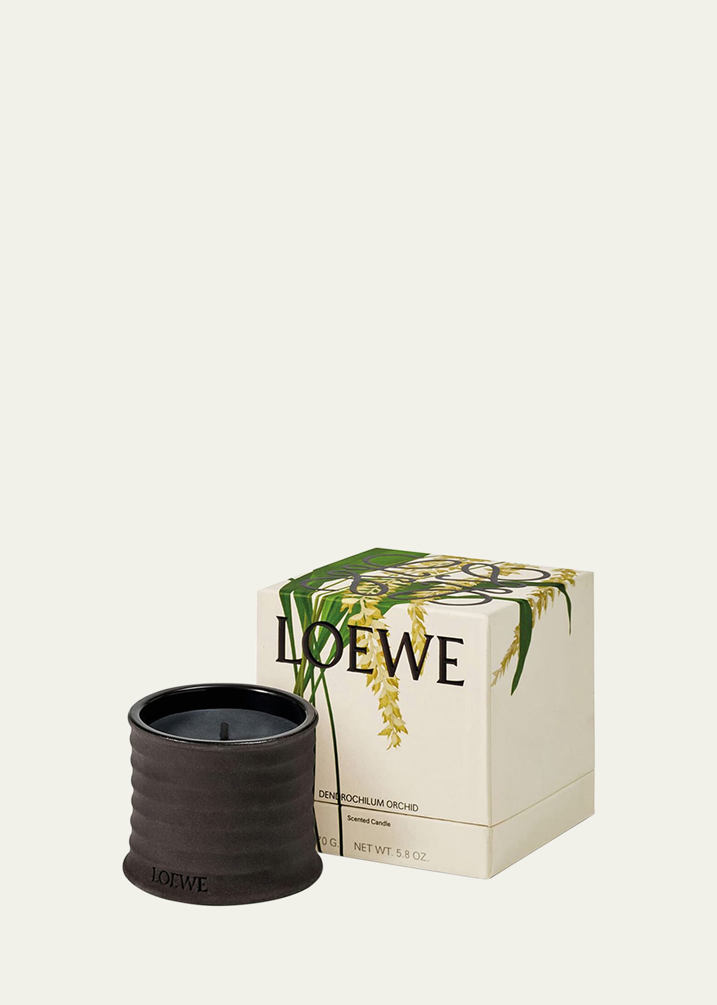 Loewe Dendrochilum Magnum Orchid Scented Candle, 5.8 oz