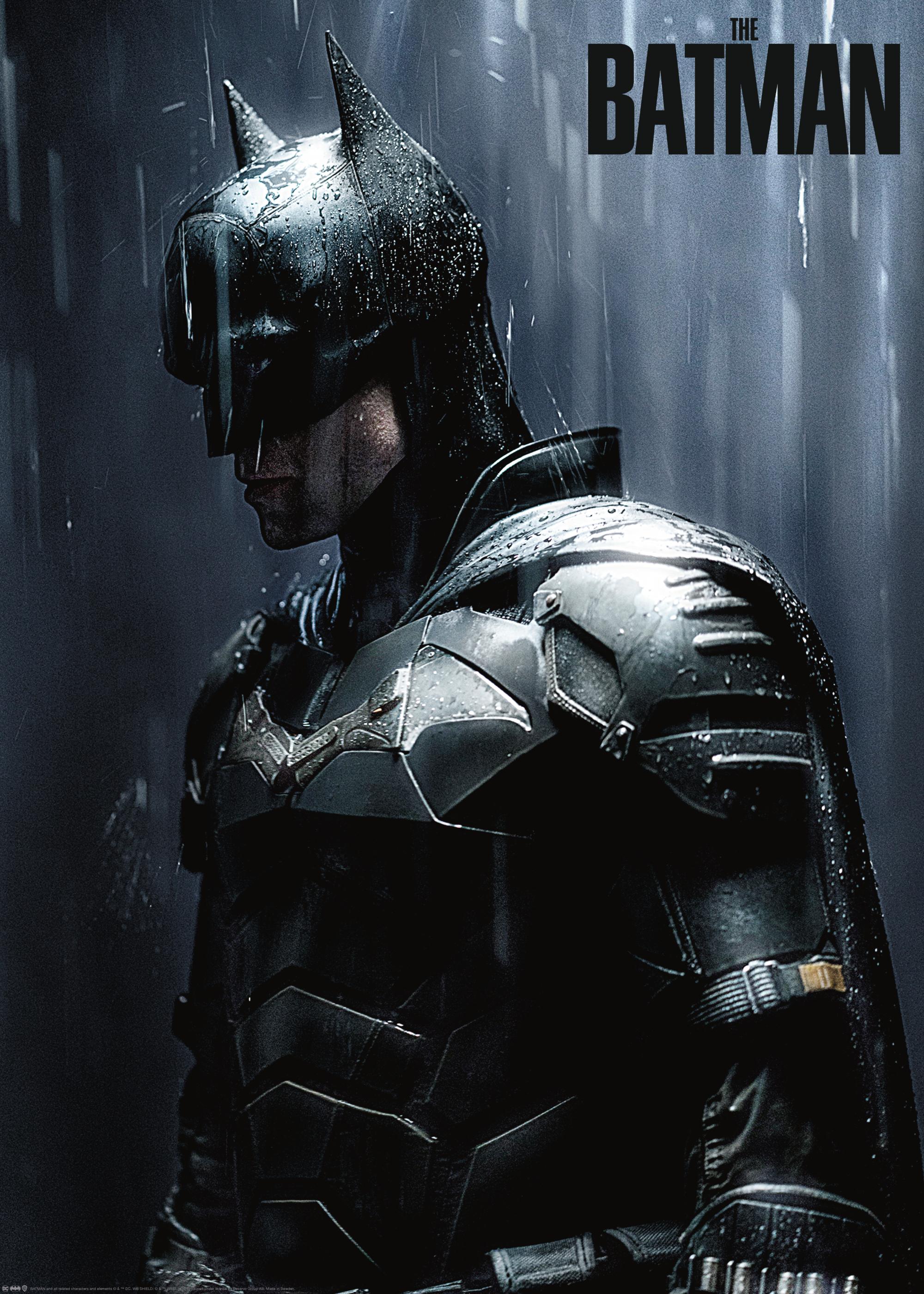 Batman™ posters and prints | Shop at Desenio.jp