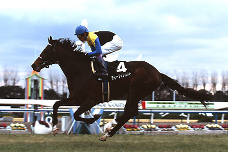 衝撃の末脚！ ディープインパクト 若駒ステークス: 日本が誇る名馬達