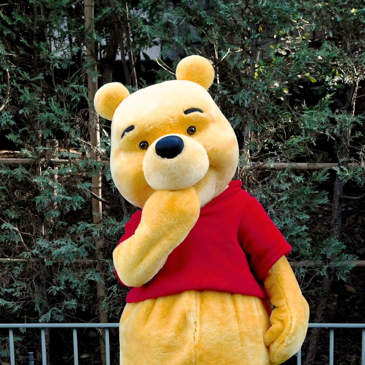 ファンタジーランドに登場！東京ディズニーランド｢くまのプーさん