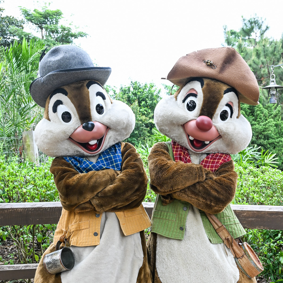 開拓時代コスチュームのチップ&デール！香港ディズニーランド