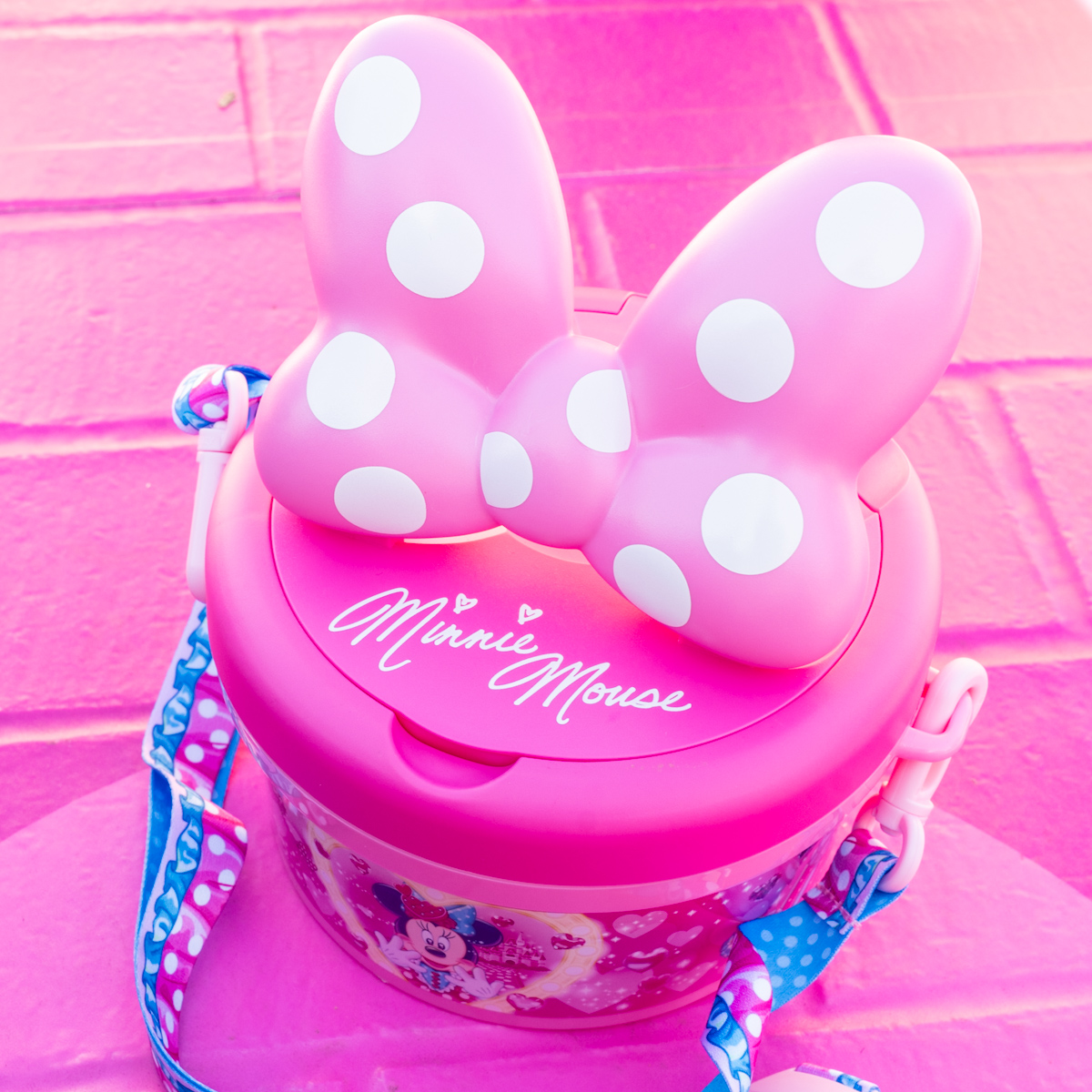 大きなリボン付き！東京ディズニーランド「ディズニー・パルパルーザ