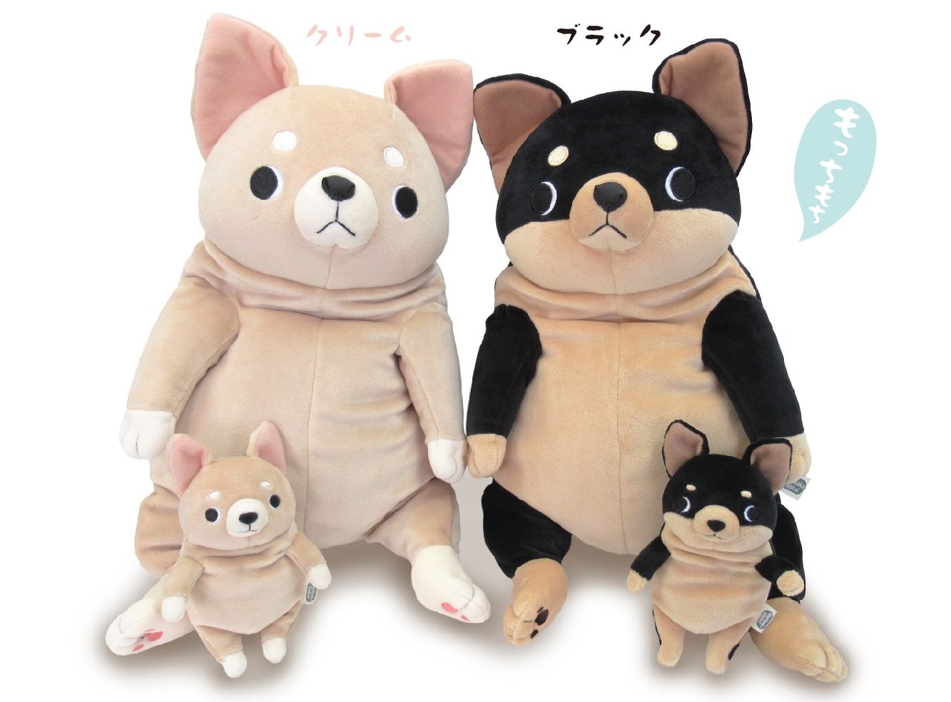 いぬ アーカイブ - モリサカグローバル