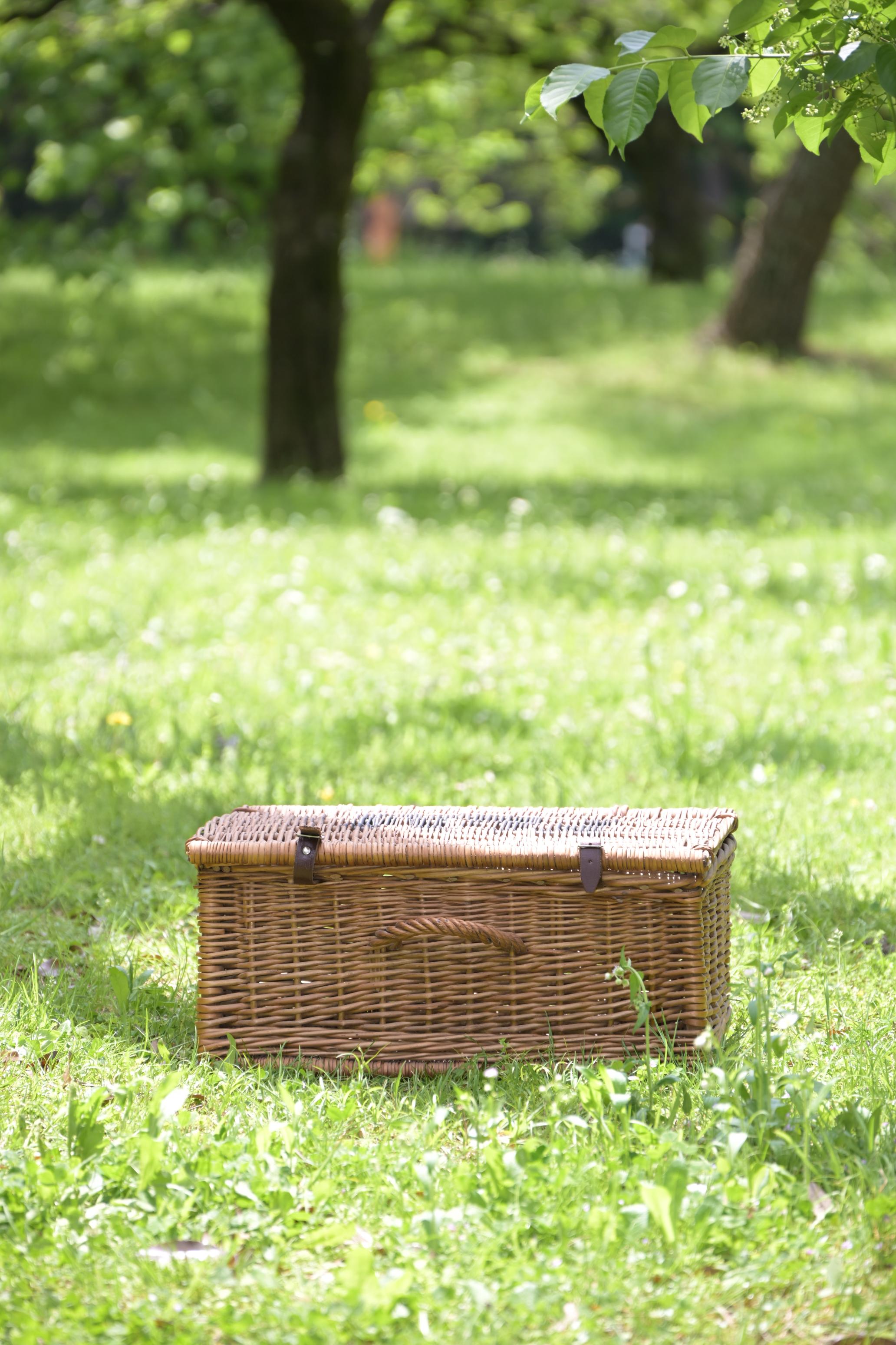 Fortonum & Maison Basket (MTE) – moom