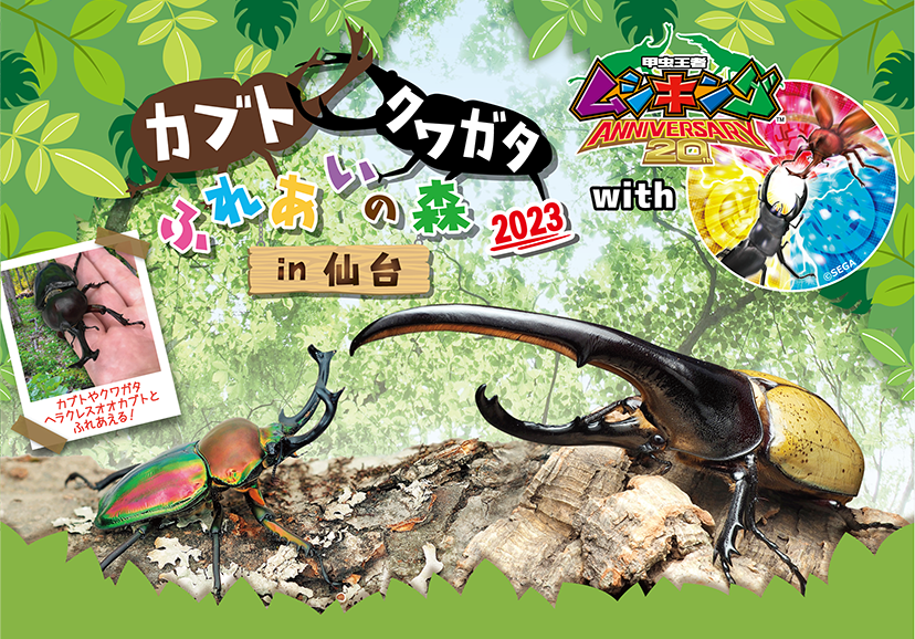 甲虫王者ムシキング ANNIVERSARY20th｜セガ