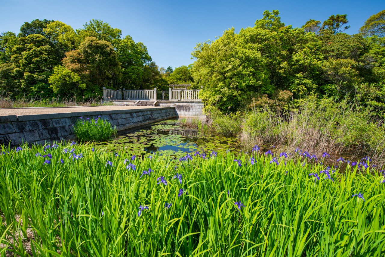 磐之媛命陵古墳（平城坂上陵）（ヒシャゲ古墳）｜スポット・体験｜奈良