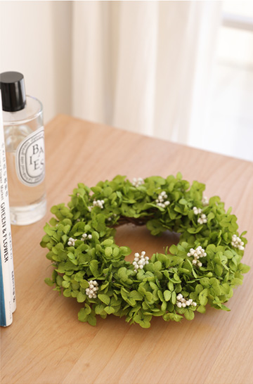 アナベルリース ミニ｜プリザーブドフラワー 母の日 2025 ギフト 送料