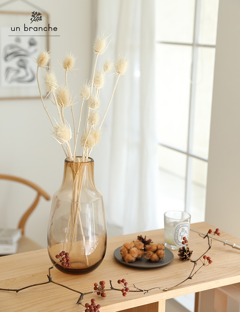 チーゼル オフホワイト｜ドライフラワー ワイルドフラワー 花材 販売