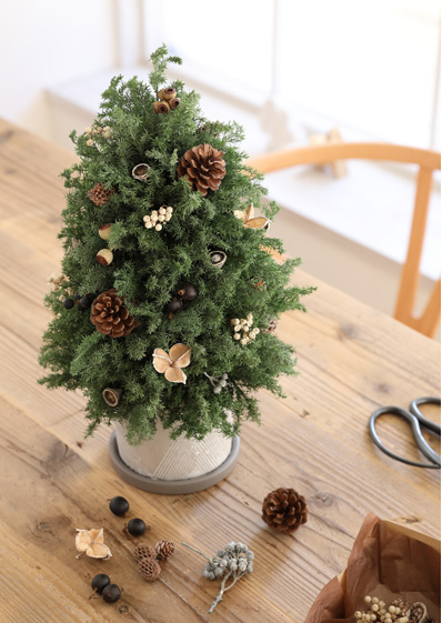 クリスマス ヌードツリー｜プリザーブドグリーン 花材 販売 小分け