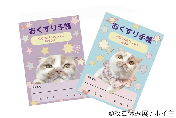 ホイちゃんをはじめスター猫が勢ぞろいの「ねこ休み展」が静岡＆広島に