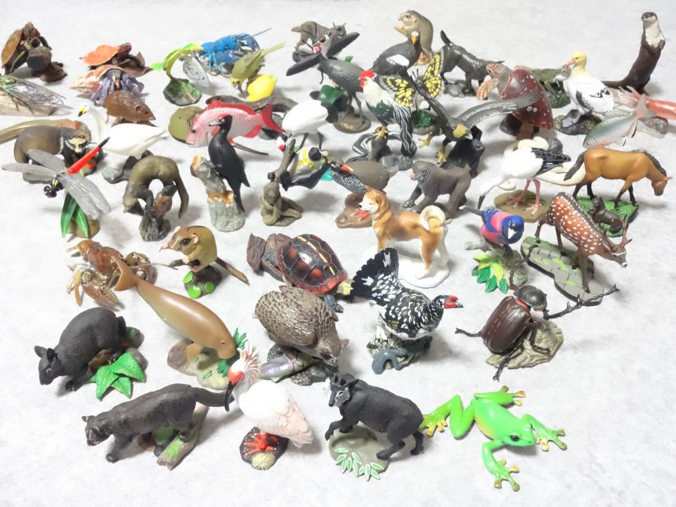 週刊日本の天然記念物