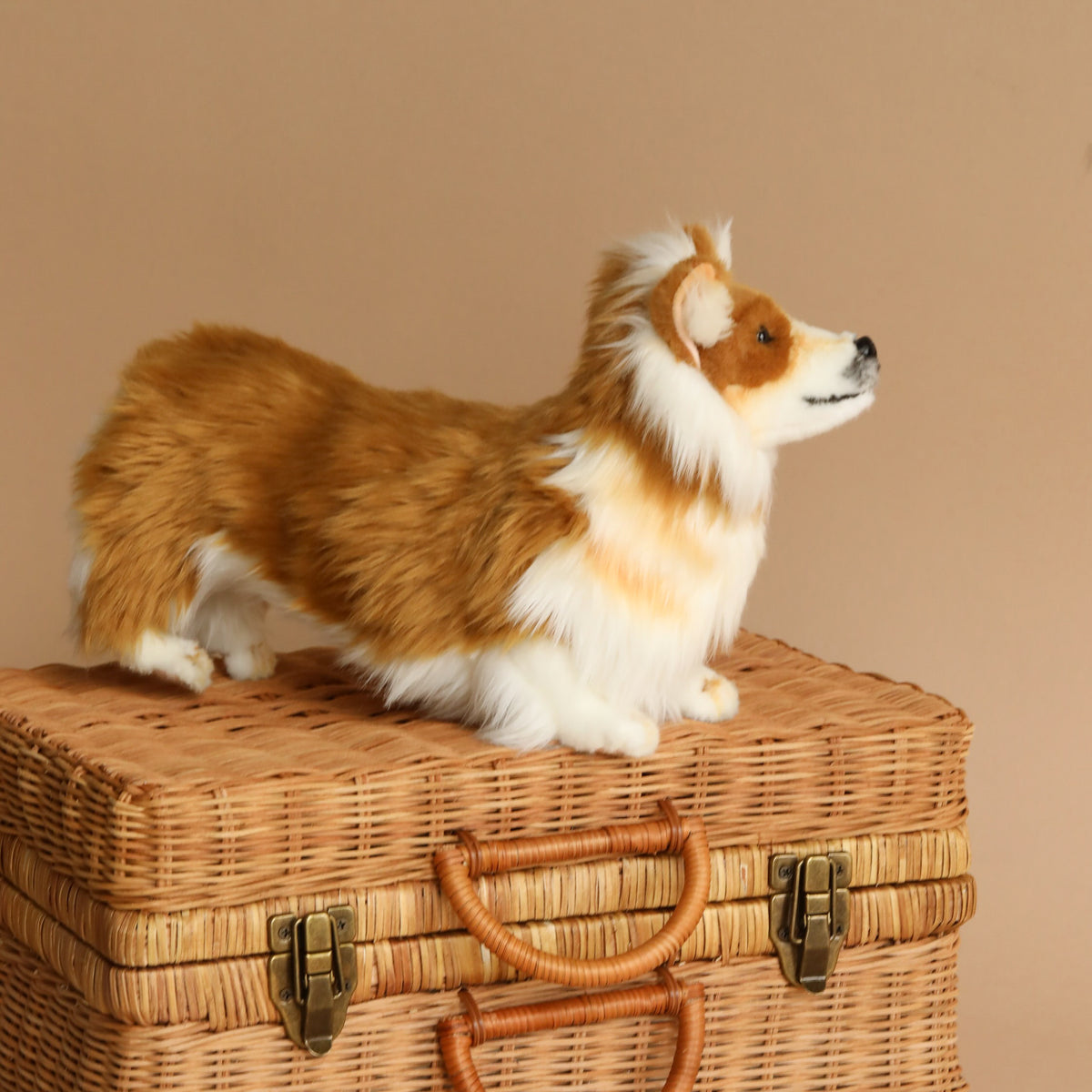 Welsh Corgi Dog Stuffed Animal– Odin Parker