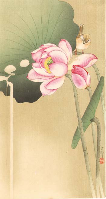 小原古邨（おはら・こそん）の「蓮に雀」（画像は個人蔵）。蓮の花脈の