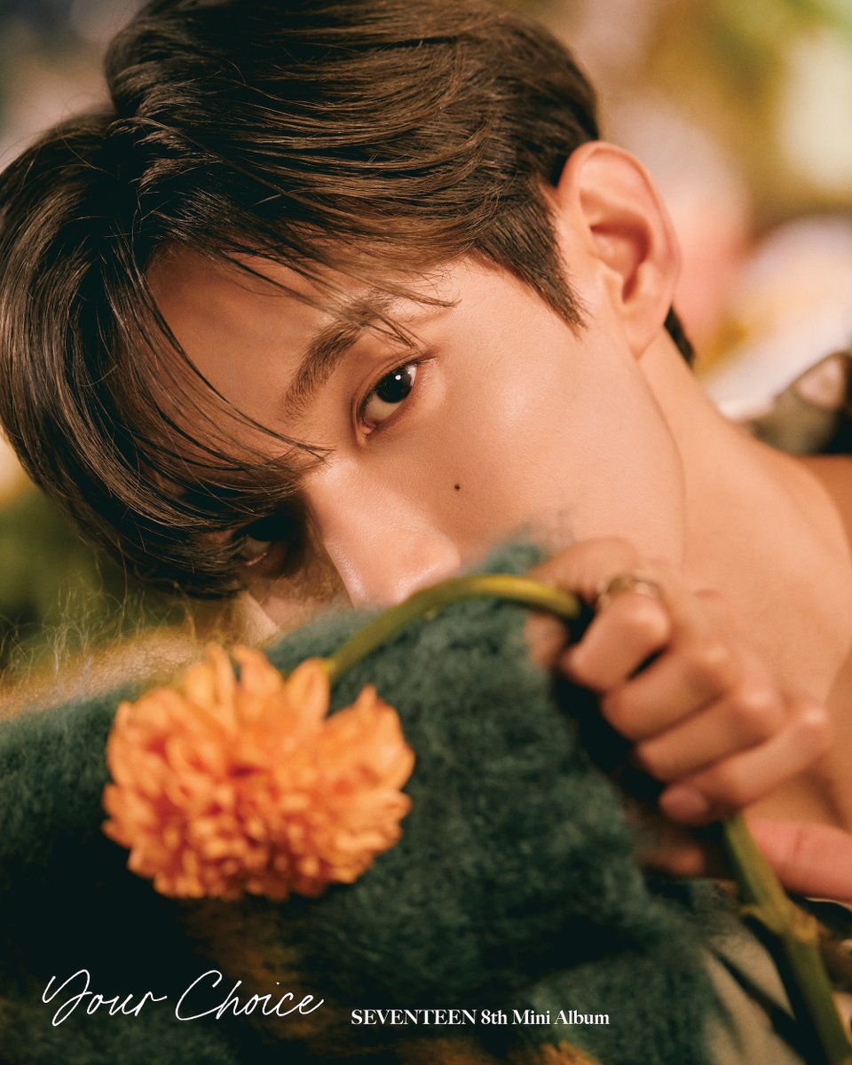 SEVENTEEN 8th Mini Album 'Your Choice' Official Photo ONE SIDE Ver