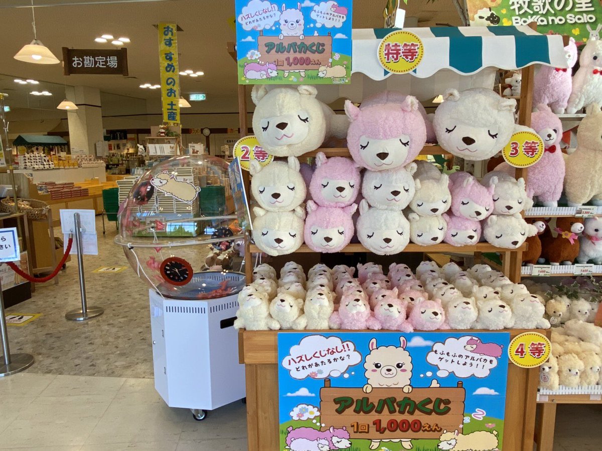 ⭐牧場限定⭐ 本日より売店にてアルパカくじ始まりました。 1回1000円