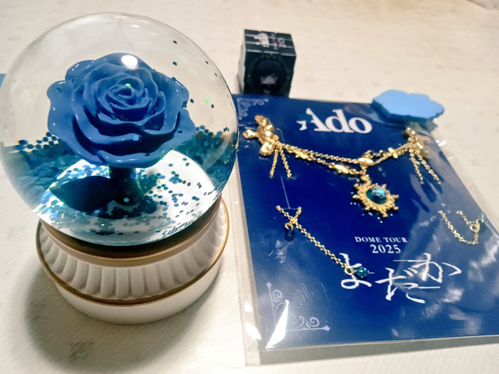 夜行バスで名古屋に帰ってきて Adoちゃんよだか🌆🦅の VIP特典やっと