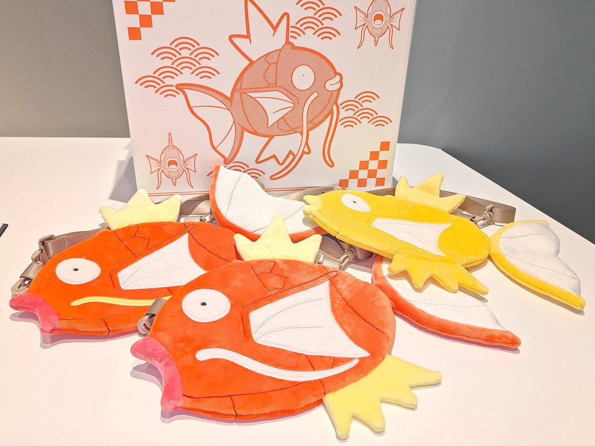 🎁締切は本日16時59分まで🎁 ✨「ピカピカボックス2026」✨ 今回はオス