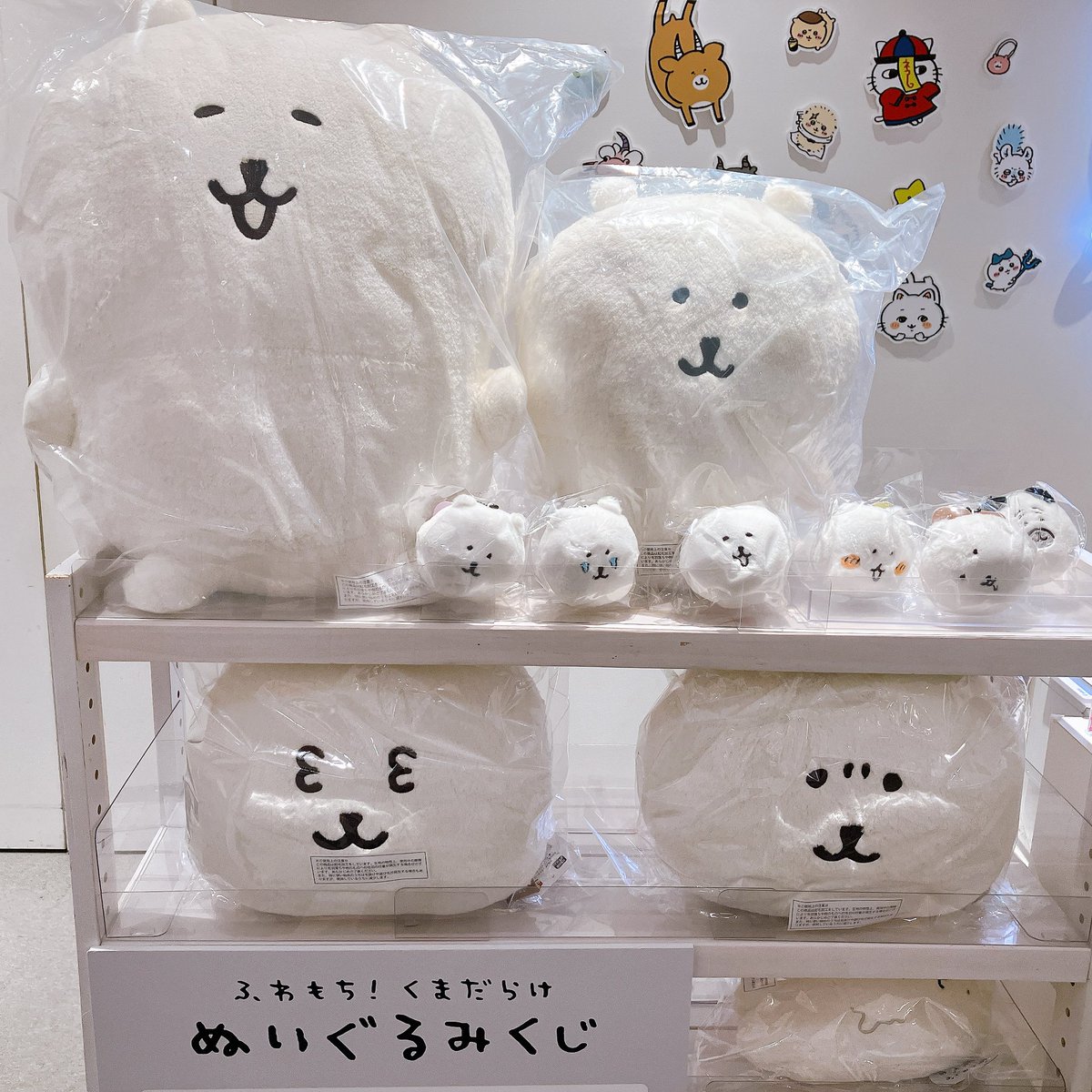 ナガノくじ ふわもち！くまだらけぬいぐるみくじ B賞 もっちり