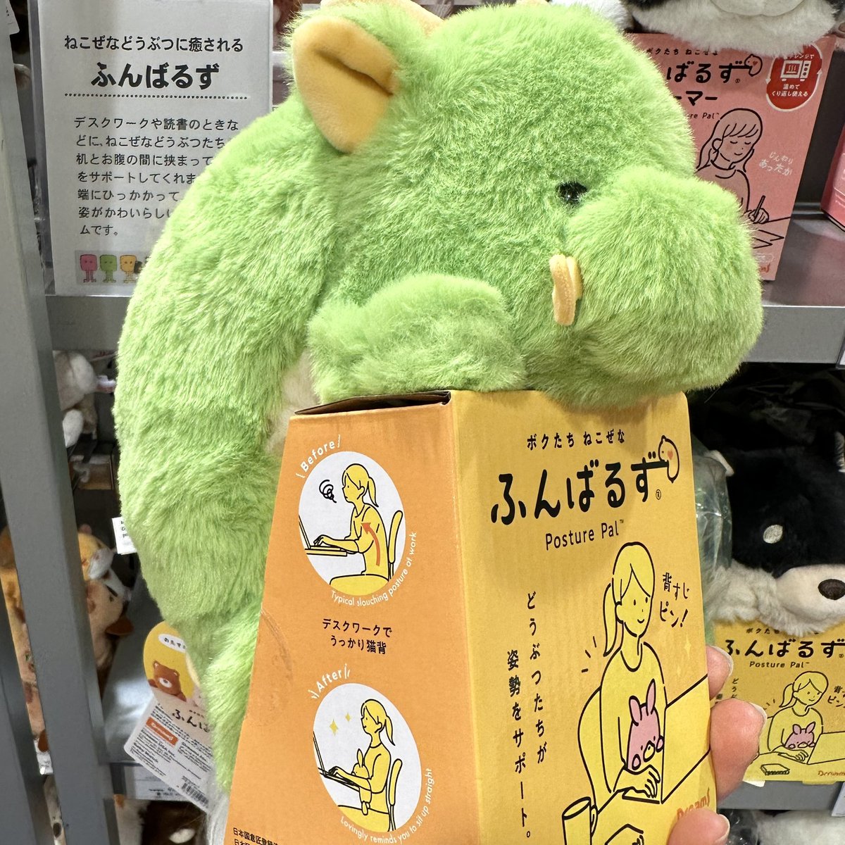 Post by ロフト公式 on X: 🐲🐶✨