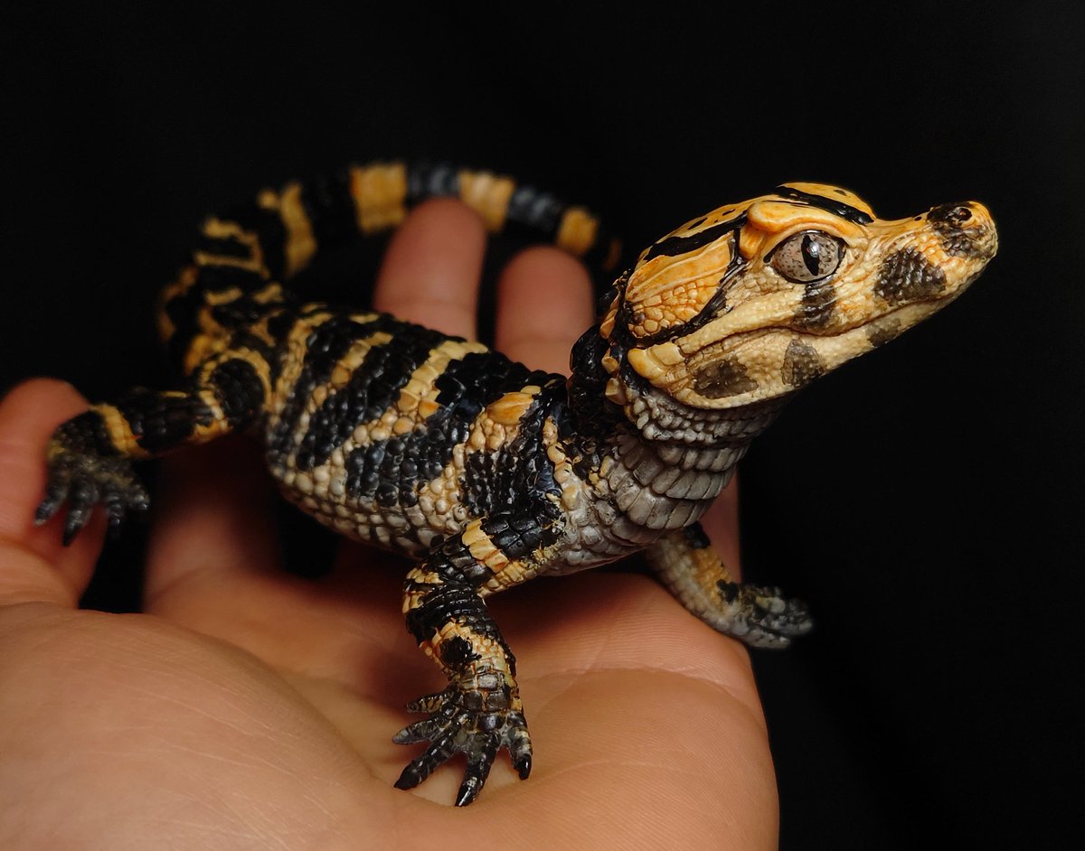 ワンフェスお品書き 生き物 新作 ヨウスコウワニ ￥8.000 初WF オオ