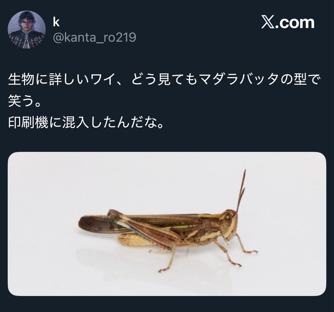 テレパス超エネルギー エラーバッタ 話題】テレパス超エネルギーに