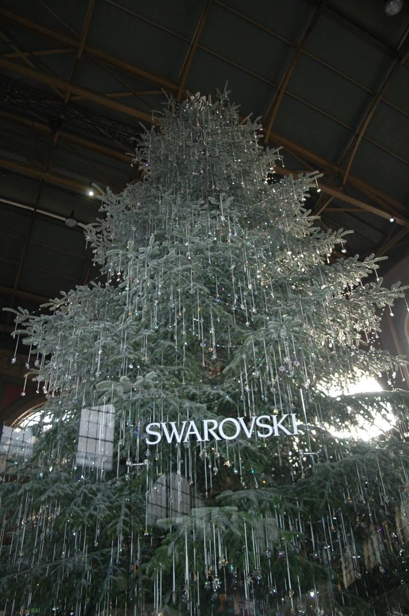 今展示作品 「スワロフスキーのツリー（チューリッヒ）」（＠清水雅巳