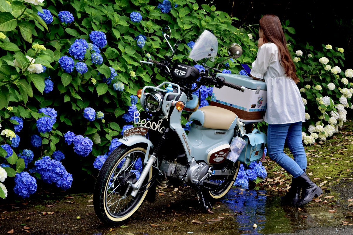 なっちゃん (@723cc110puko) / Posts / X