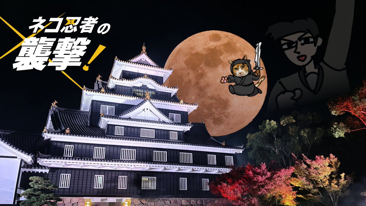 ねこずし卓 (@necozushi) / Posts / X