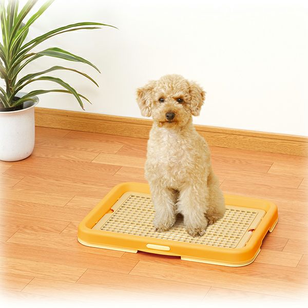 Add.Mate アドメイト わんトレー | ペティオ オンライン ショップ本店