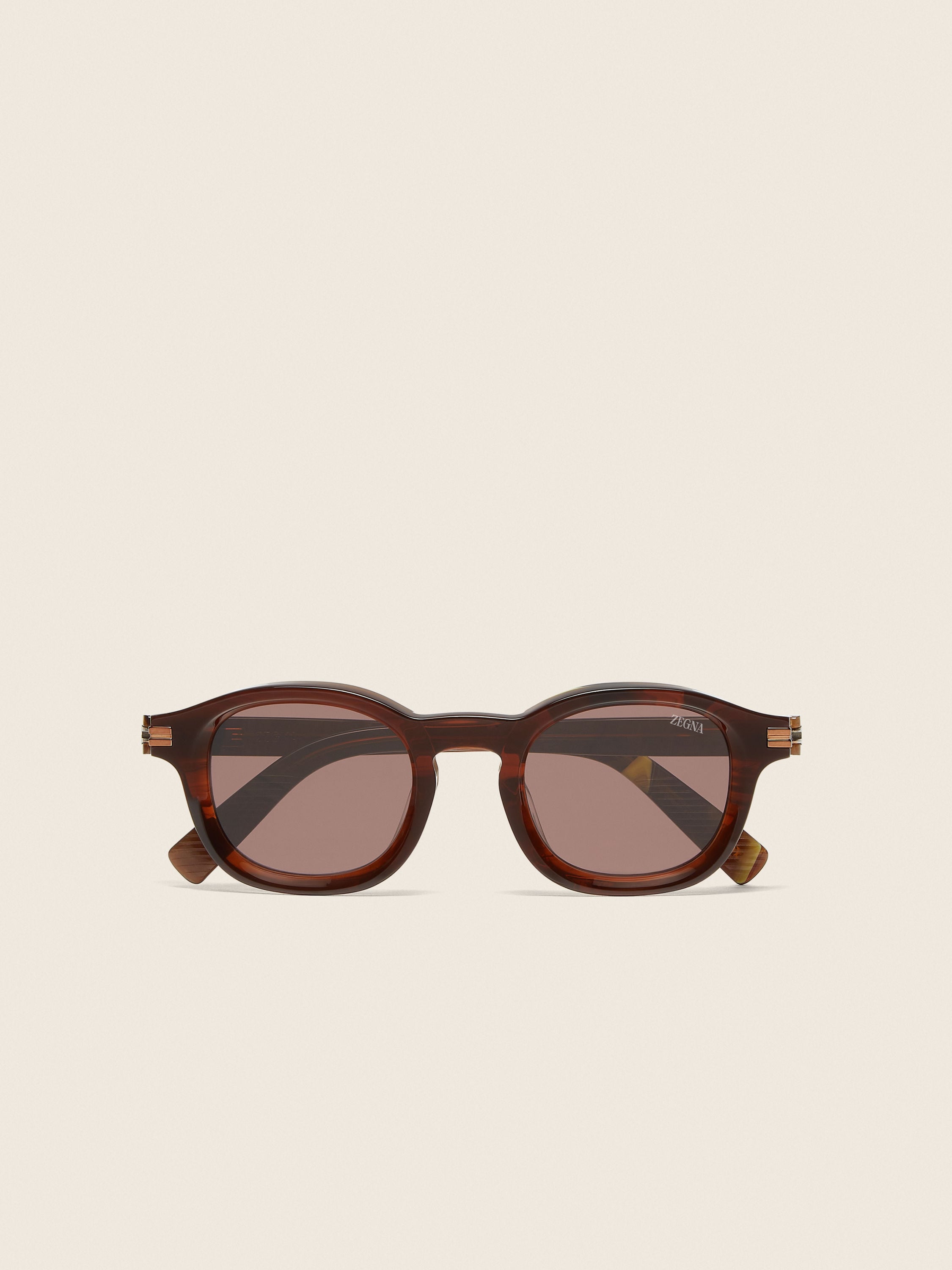 Dark Foliage Aurora I Acetate Sunglasses FW26 30184926 | Zegna US