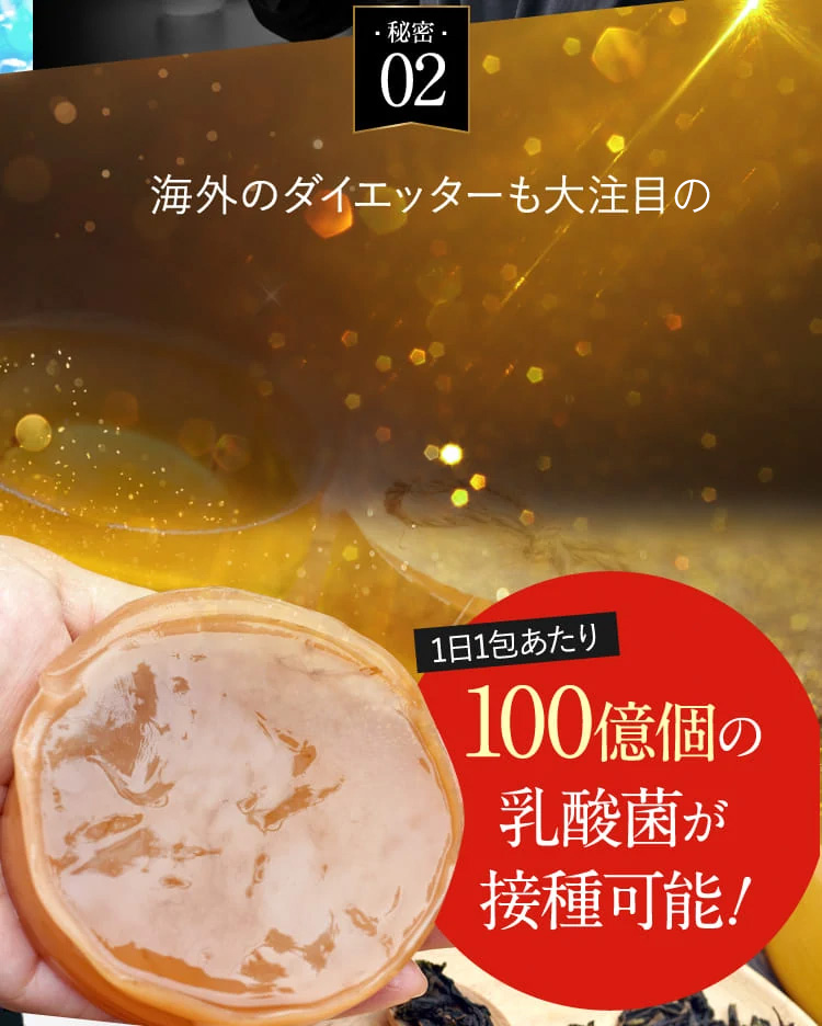 FASHIONBODY ファッションボディ