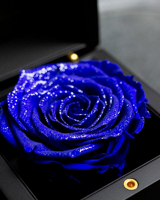 ダイヤモンドローズ(M) | ローズギャラリー銀座 オンラインショップ