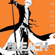 BLEACH」護廷十三隊、あなたの“推し隊”は？ 日番谷冬獅郎率いる十番隊