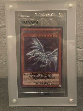 青眼の亜白龍 ブルシク psa10 遊戯王 オルタナティブ 当選通知書付き