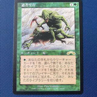 適者生存」の激安通販 | magi