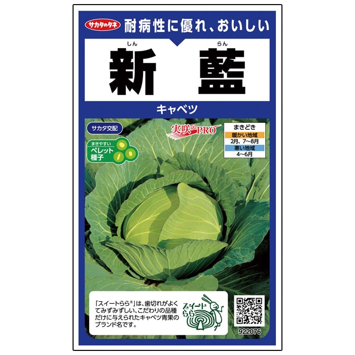 キャベツ 新藍｜種（タネ）,球根,苗,資材,ガーデニンググッズの通販は
