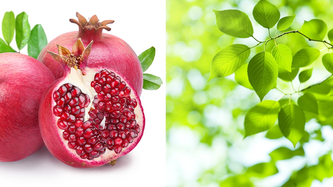 ミルボン カーボネイティッド シャンプー 150g(150g ミルボン カーボ