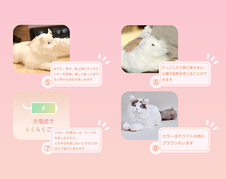 KIMIT ラグドール（ブラウン） | セガ フェイブ ストア【公式