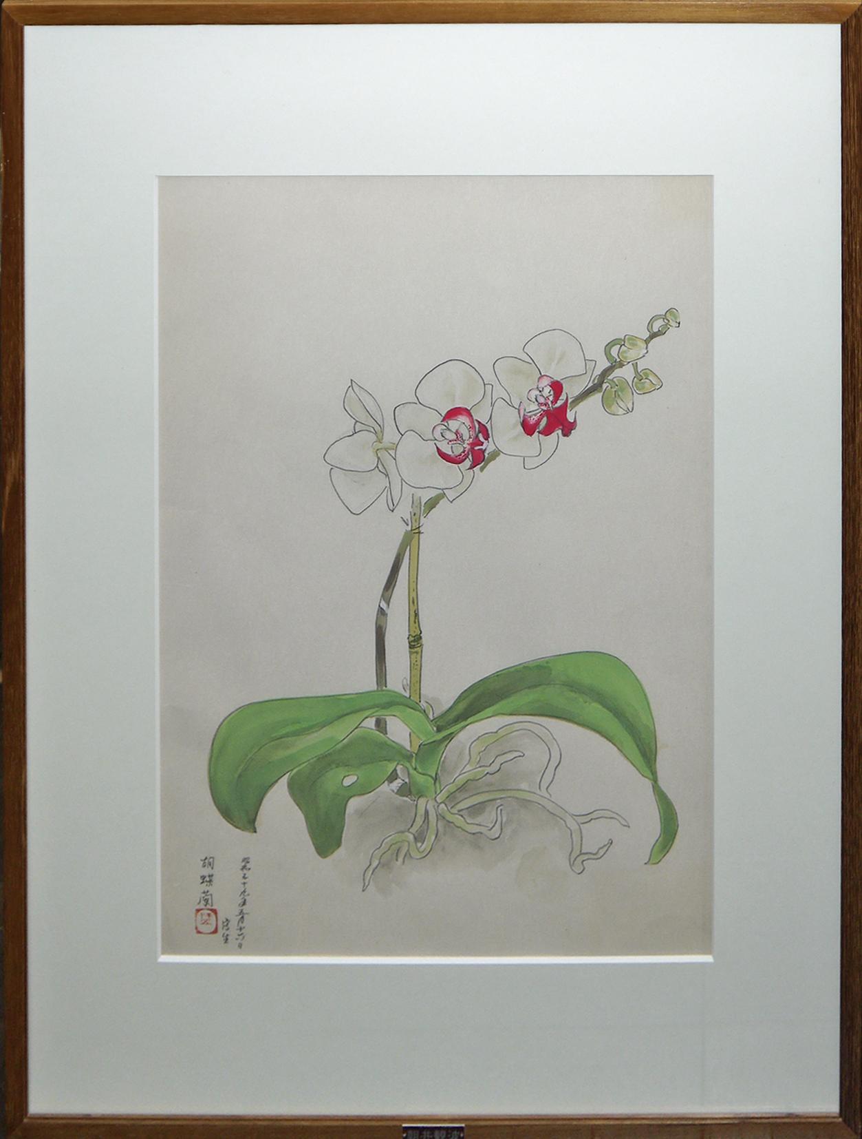 日本画8号大 「胡蝶蘭」 | ｜正光画廊