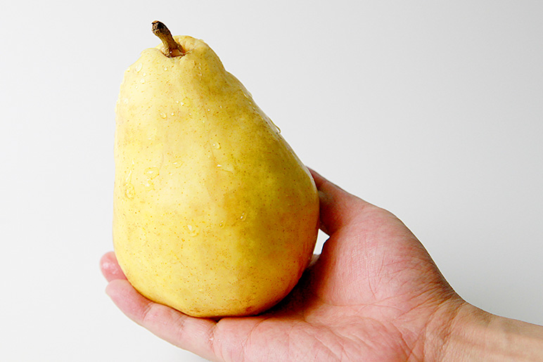 新潟直送計画】ル・レクチェ（贈答用・家庭用） – ヤマヨ果樹園（Le